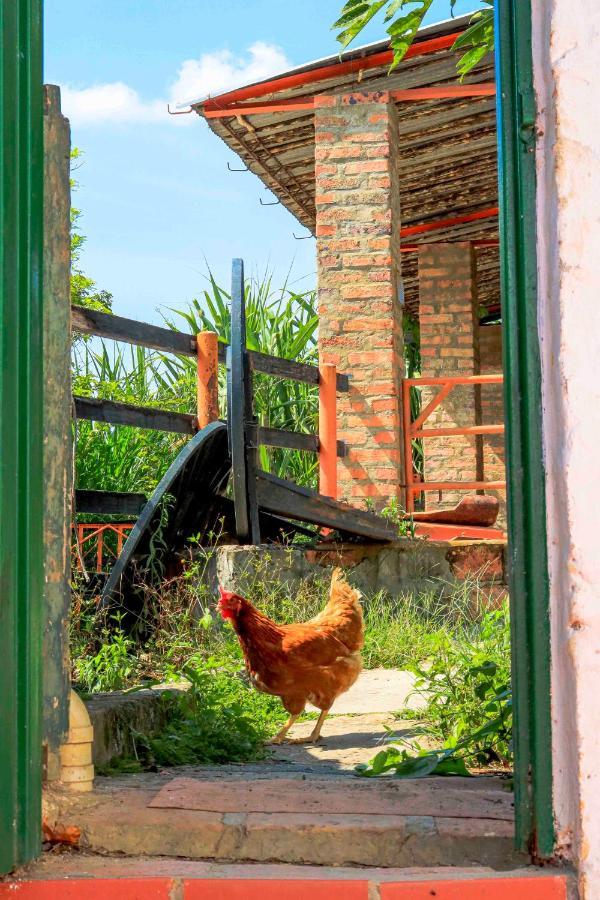 サン・ヒル La Haciendaホステル エクステリア 写真