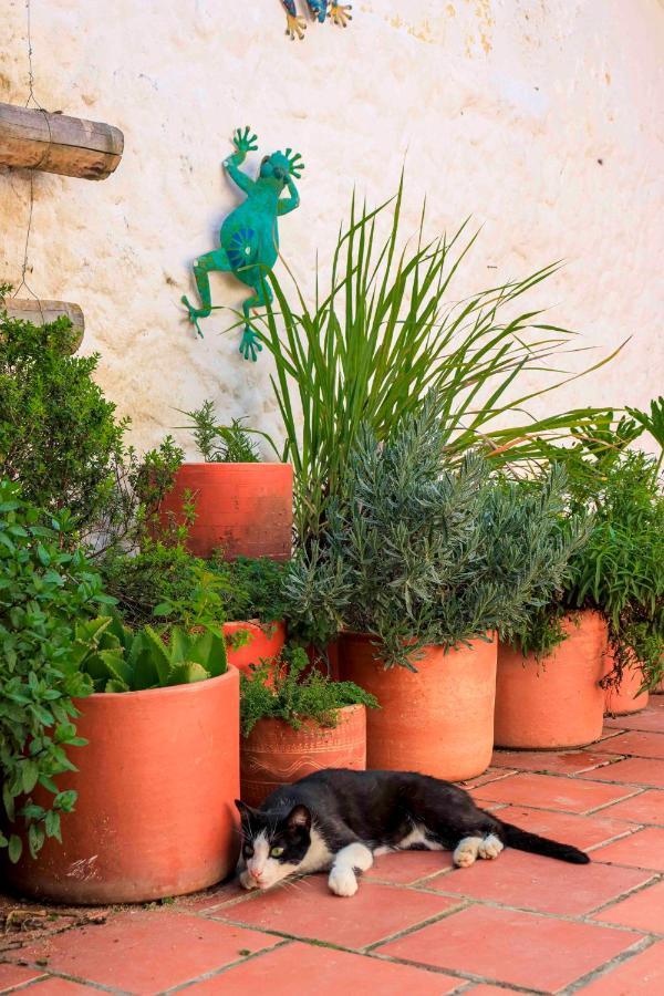 サン・ヒル La Haciendaホステル エクステリア 写真
