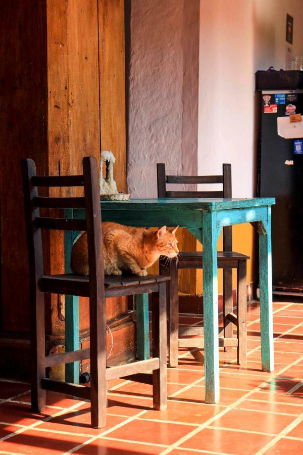 サン・ヒル La Haciendaホステル エクステリア 写真